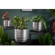  Set noble de 3 pots de fleurs ORIENT argentés Vases en grille design martelé 